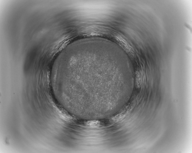 X0000093430410200711021038