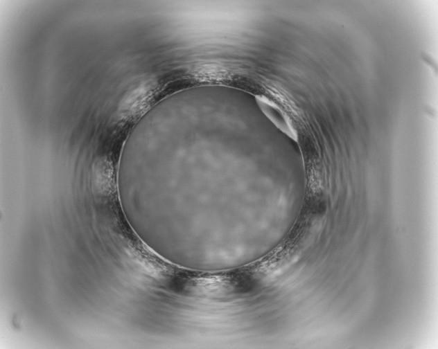 X0000093430411200711021038