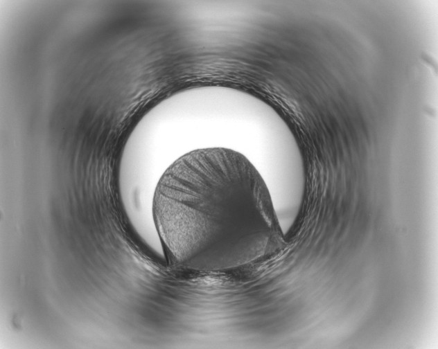 X0000093430412200711021038