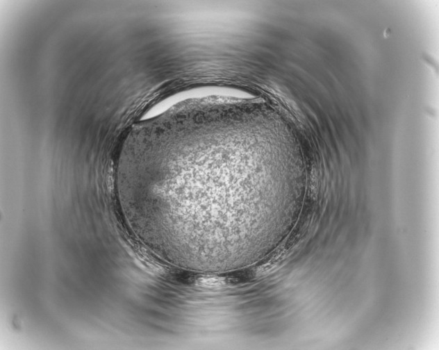 X0000093430413200711021038