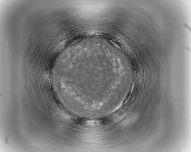 X0000093430415200711021038