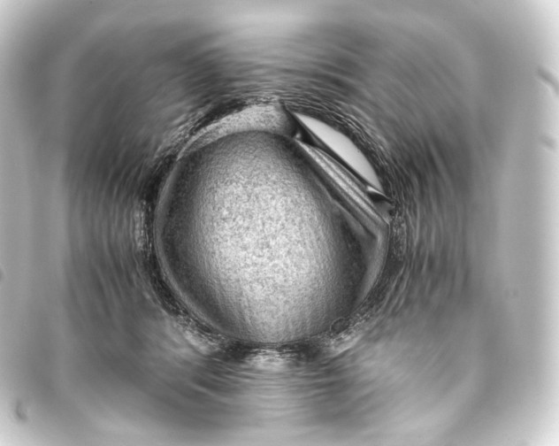 X0000093430416200711021038