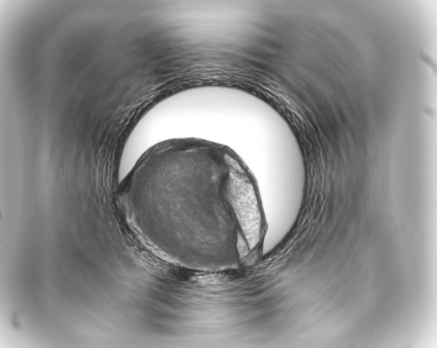 X0000093430417200711021038