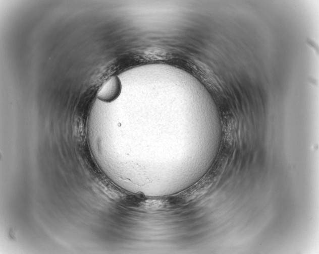 X0000093430418200711021038