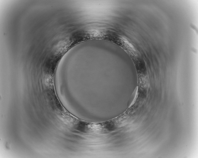 X0000093430419200711021038