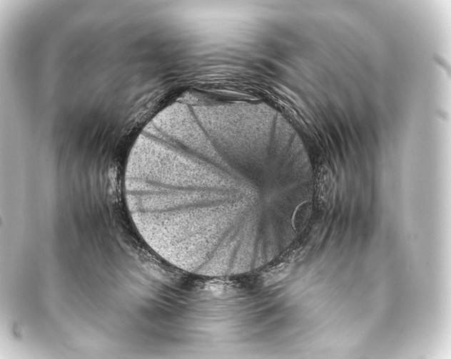 X0000093430420200711021038