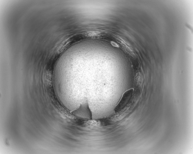 X0000093430421200711021038