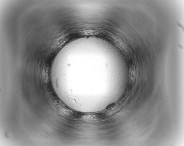 X0000093430422200711021038