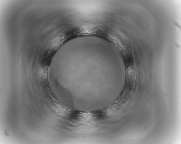 X0000093430423200711021038