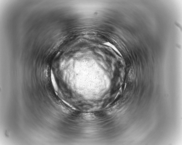 X0000093430424200711021038