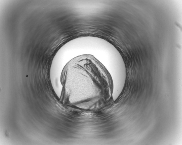 X0000093430428200711021038