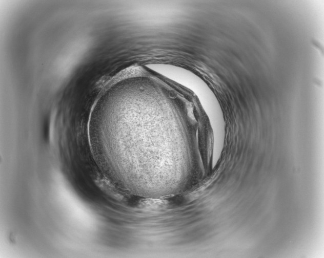 X0000093430429200711021038