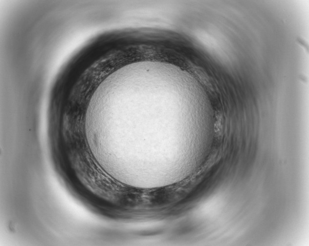 X0000093430430200711021038