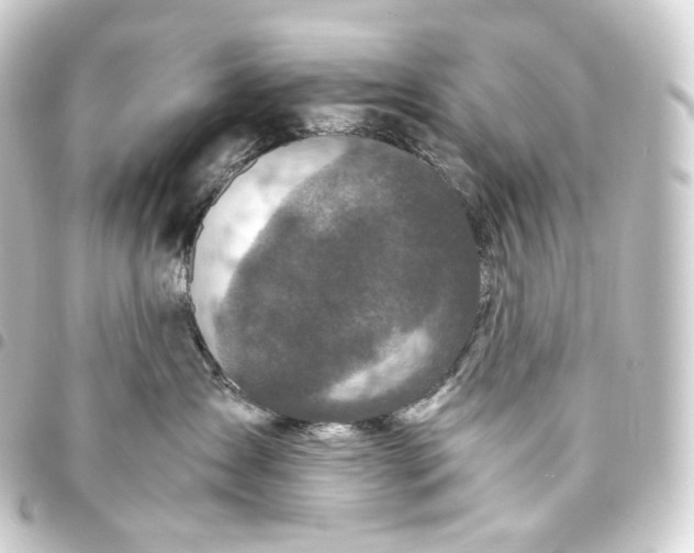 X0000093430431200711021038