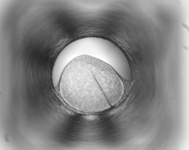 X0000093430432200711021038