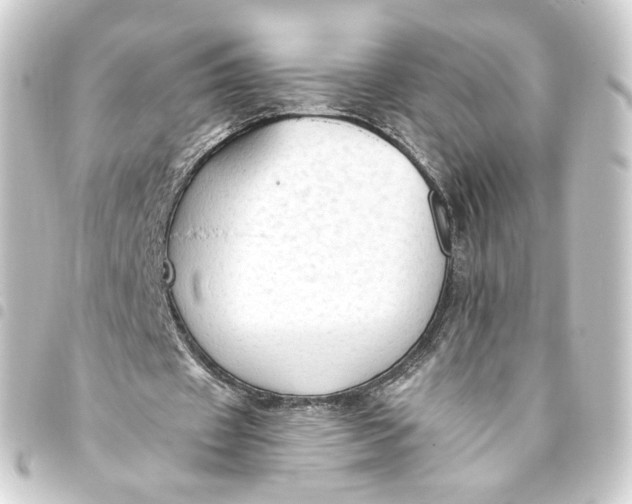 X0000093430433200711021037