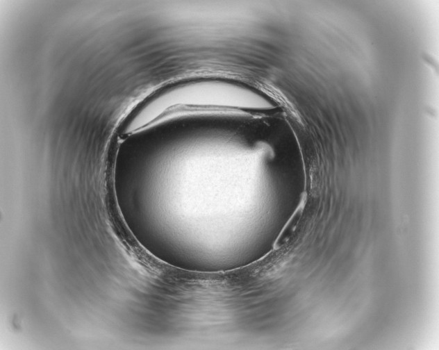 X0000093430436200711021037