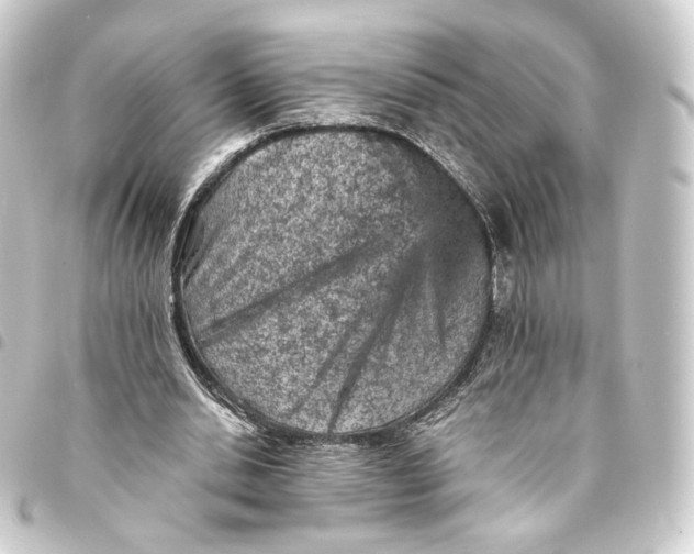 X0000093430438200711021037