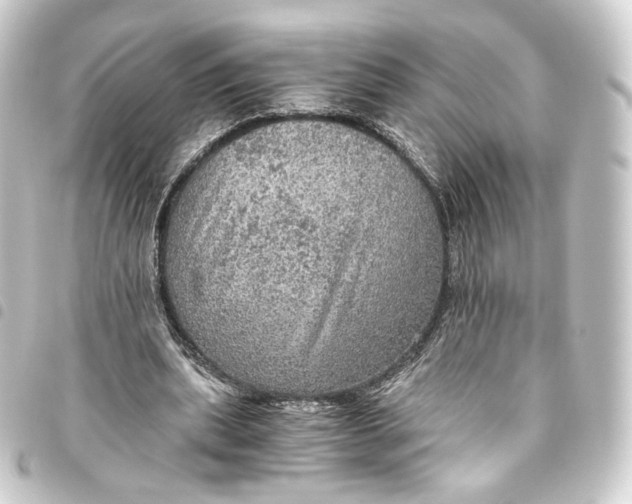 X0000093430439200711021038