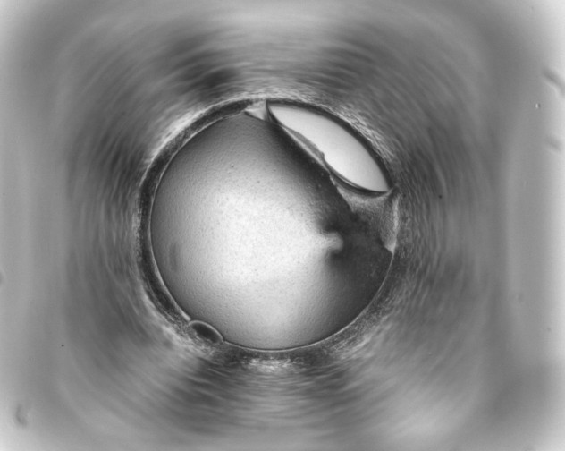 X0000093430440200711021038