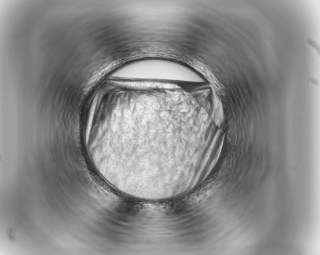 X0000093430442200711021038