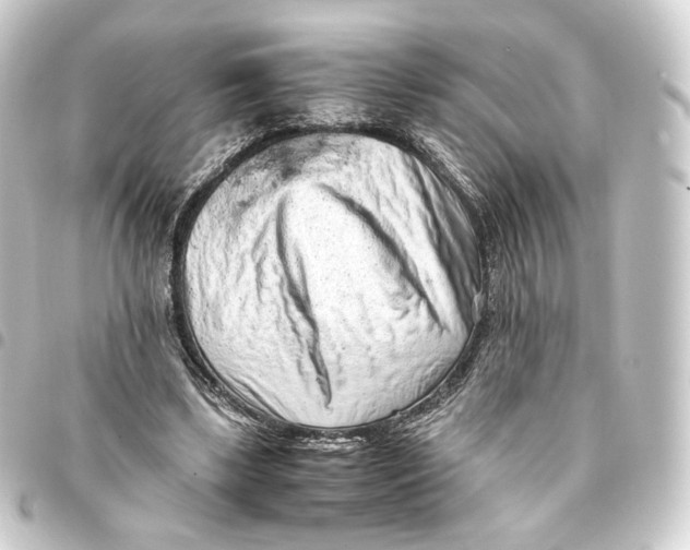 X0000093430443200711021038