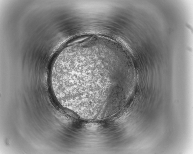 X0000093430444200711021038