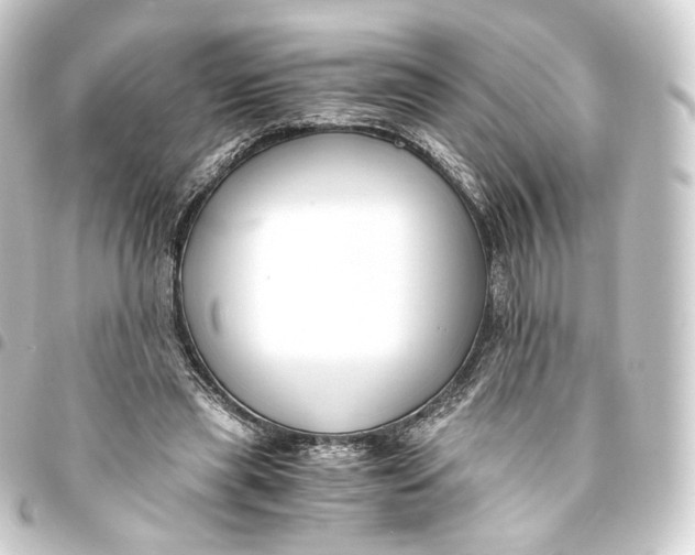 X0000093430445200711021038