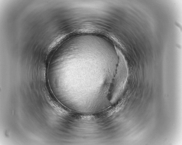 X0000093430446200711021038