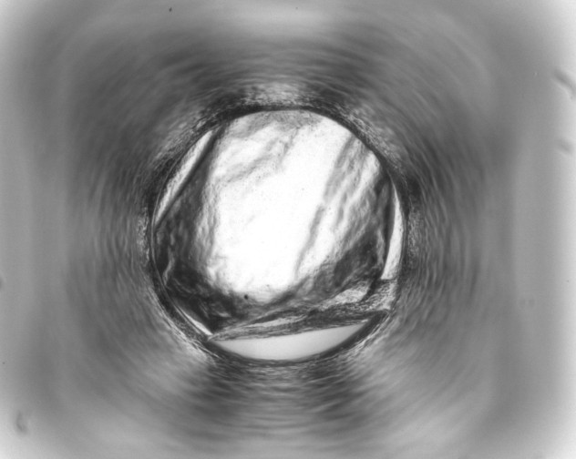 X0000093430449200711021038