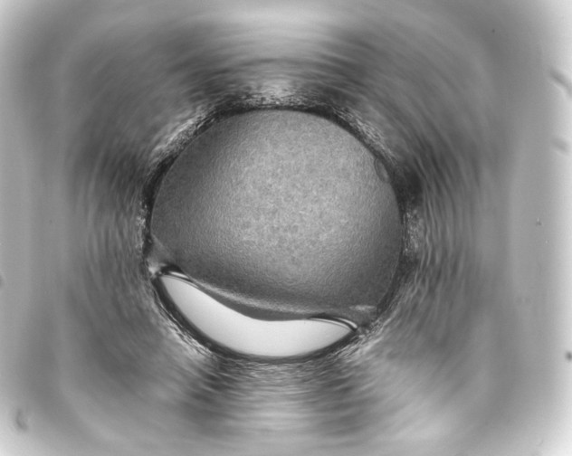 X0000093430450200711021038