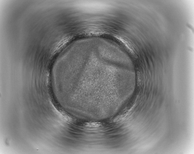 X0000093430451200711021038