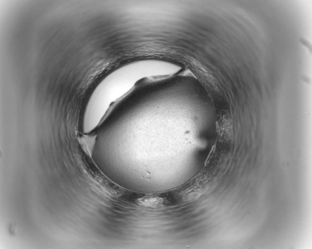 X0000093430452200711021038