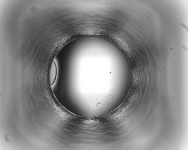 X0000093430453200711021038