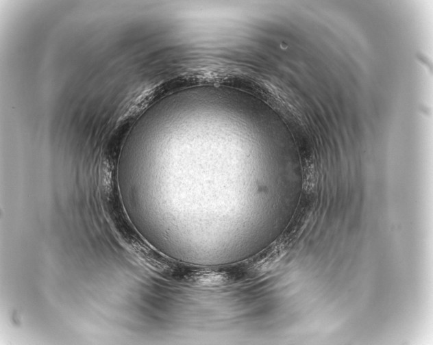 X0000093430456200711021038