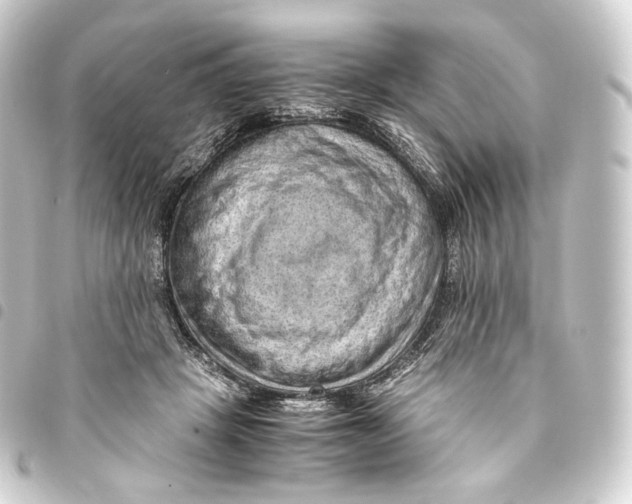 X0000093430457200711021038