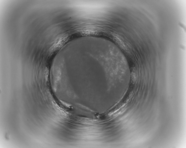 X0000093430458200711021038