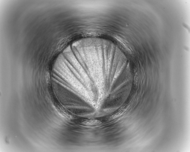 X0000093430459200711021038