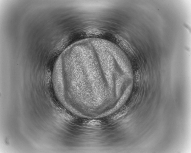 X0000093430463200711021038