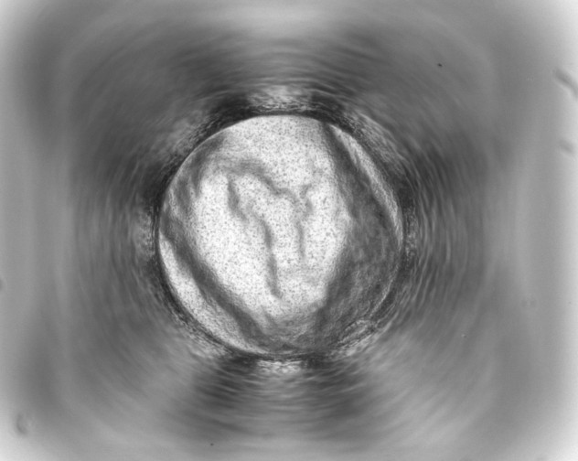 X0000093430469200711021038