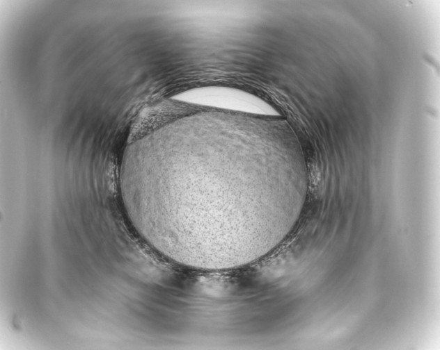 X0000093430470200711021038