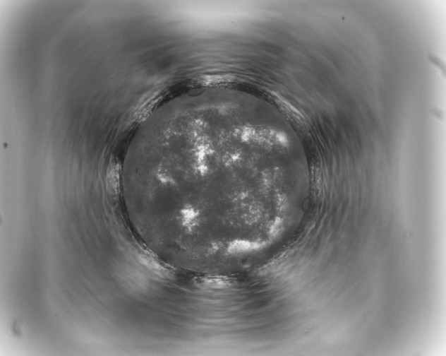 X0000093430475200711021038