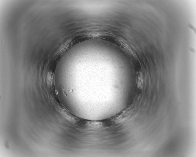 X0000093430476200711021038