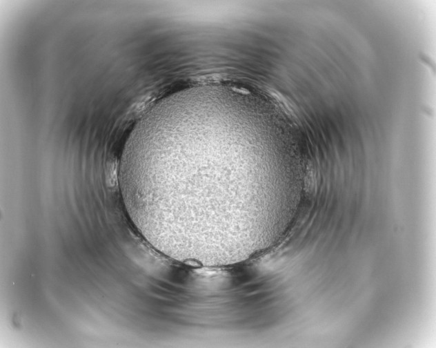 X0000093430477200711021038