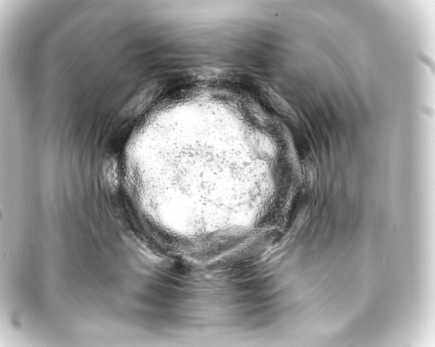 X0000093430479200711021038