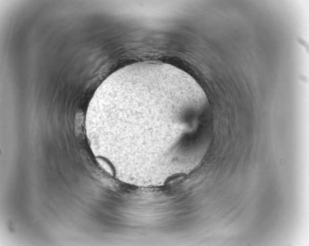 X0000093430480200711021038