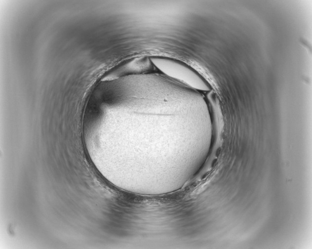 X0000093430481200711021037