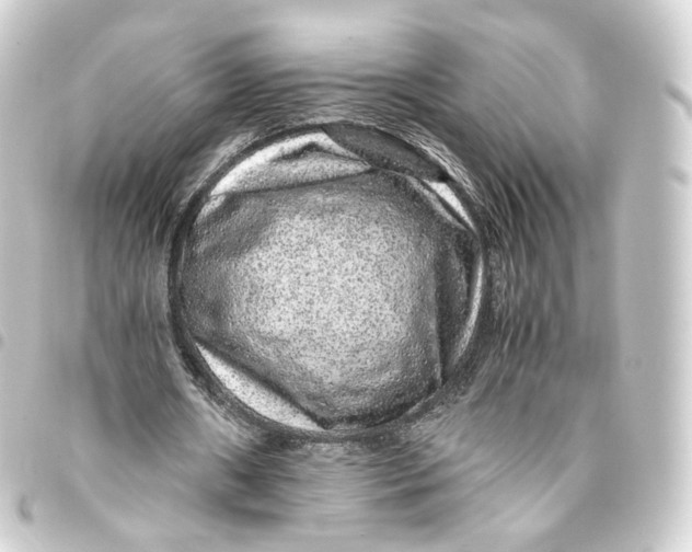 X0000093430482200711021037