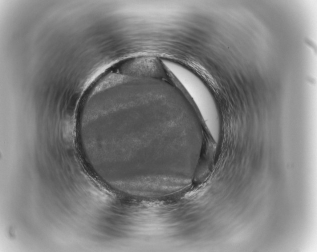 X0000093430484200711021037