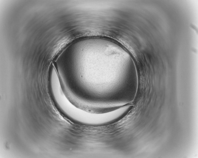 X0000093430485200711021037